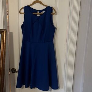 New York & Company Royal Blue Top